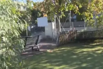 Menidi paidiki