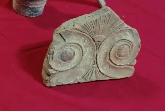 arxaiokapilia