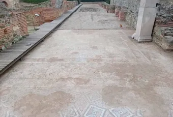 psifidwta galeriano sigkrotima